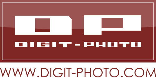 Digitalstore Vienna